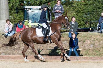 Bild 84 - Pony Akademie Turnier